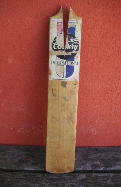 Cricket bat