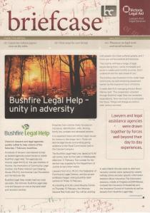 Briefcase cover April 2009