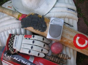 Cricket radio