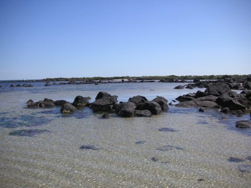 KONICA MINOLTA DIGITAL CAMERA